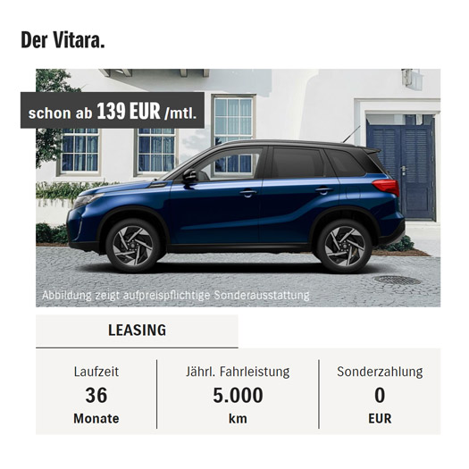 Fahrzeugbild Suzuki Vitara